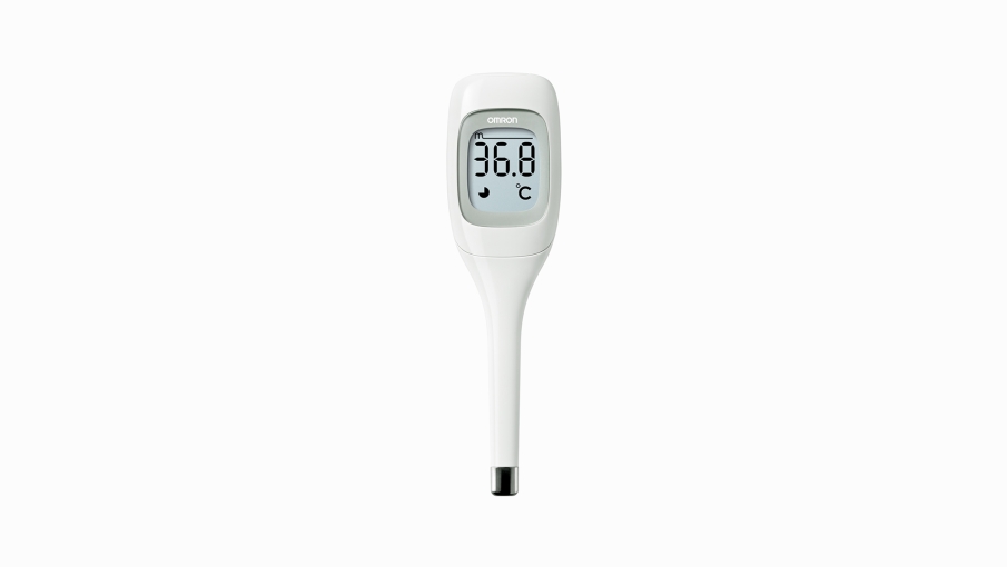Electronic Thermometer