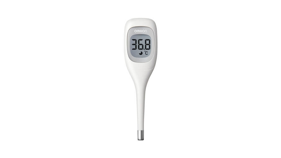Electronic Thermometer