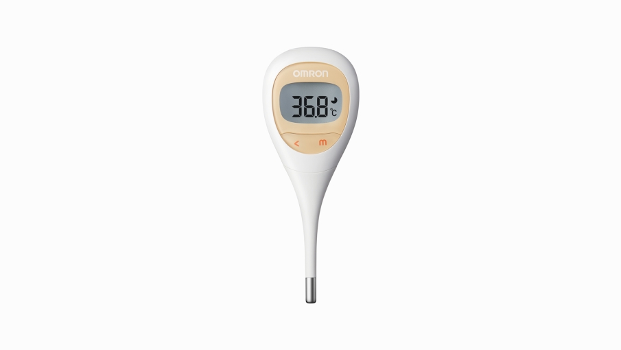 Electronic Thermometer