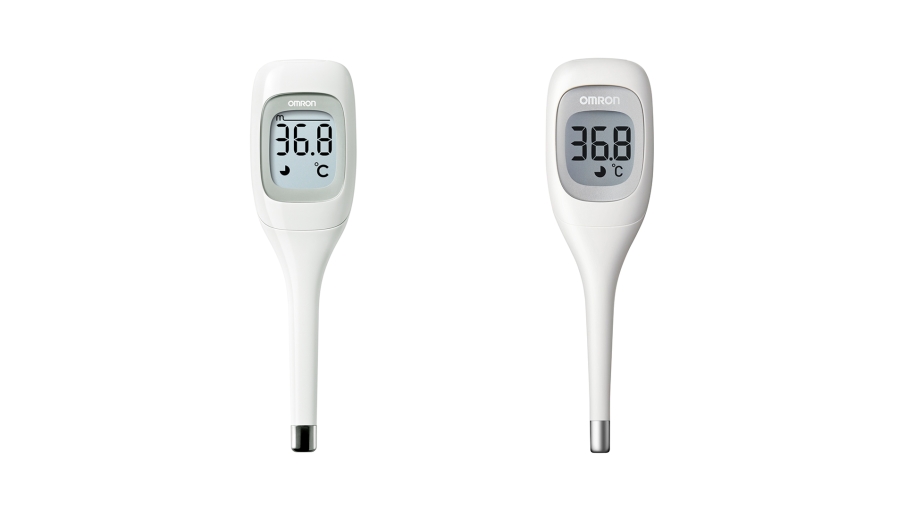 Electronic Thermometer