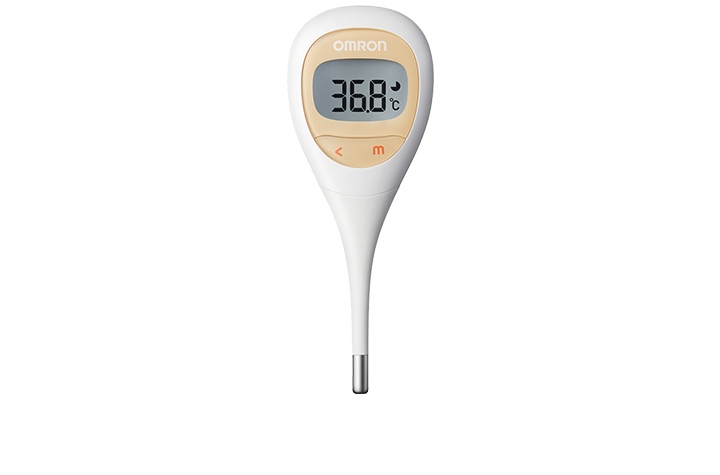 Electronic Thermometer